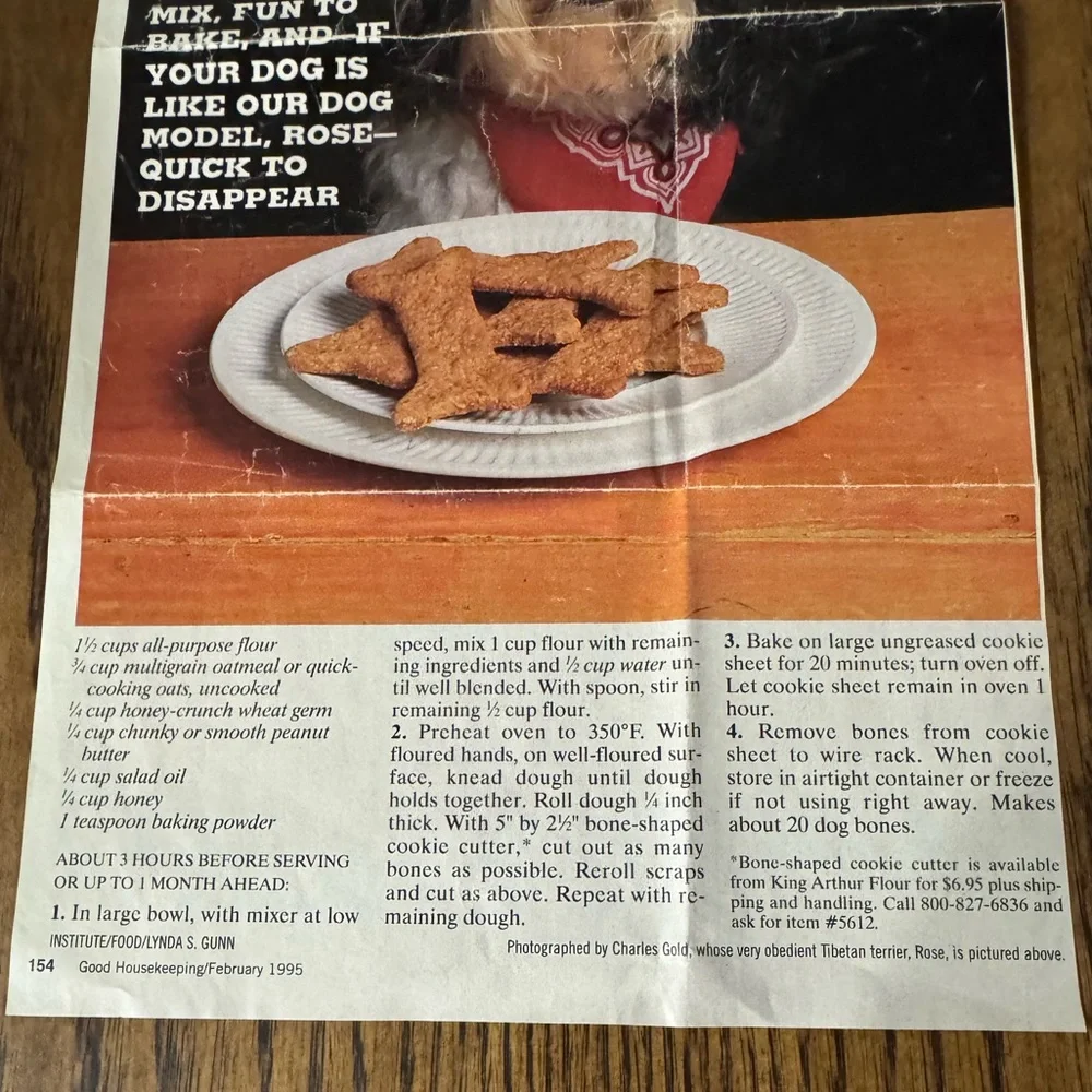 Blue Cookie Cutter with Recipe Cards and Felt Tip Pen Make your own dog treats